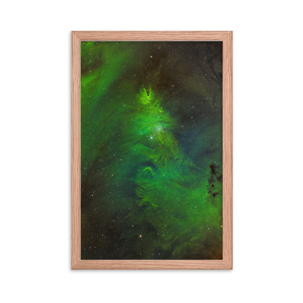 Christmas Tree Nebula - Framed Poster, Premium Luster Photo Paper