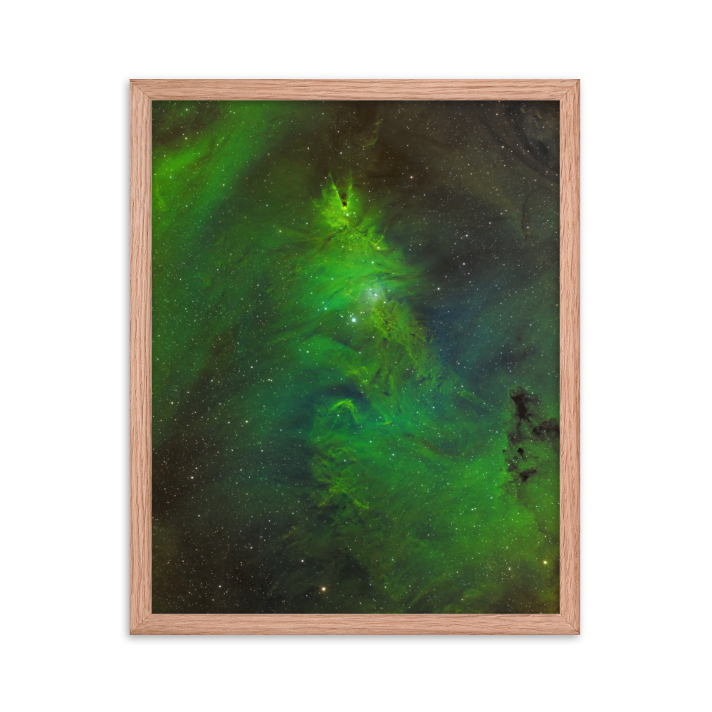 Christmas Tree Nebula - Framed Poster, Premium Luster Photo Paper