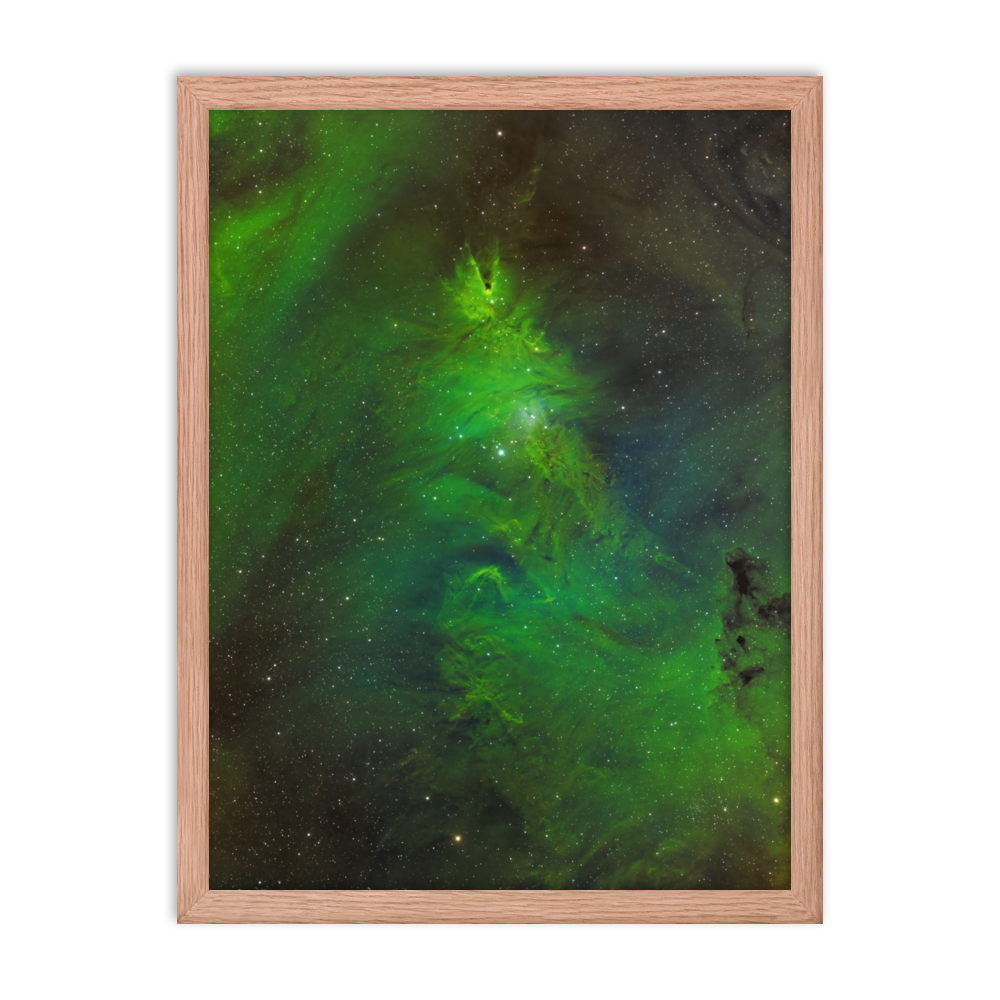 Christmas Tree Nebula - Framed Poster, Premium Luster Photo Paper